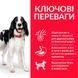 Hill's (Хиллс) Science Plan Adult Medium with Lamb&Rice - Сухой корм с ягненком и рисом для взрослых собак средних пород, 14 кг