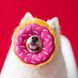 ZippyPaws (ЗіппіПавс) Donutz Blueberry &ndash; М'яка іграшка для собак чорниця пончик з пищалкою, L