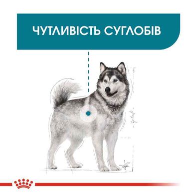 Royal Canin (Роял Канін) Maxi Joint Care - Сухий корм для дорослих собак великих порід з підвищеною чутливістю суглобів 10 кг