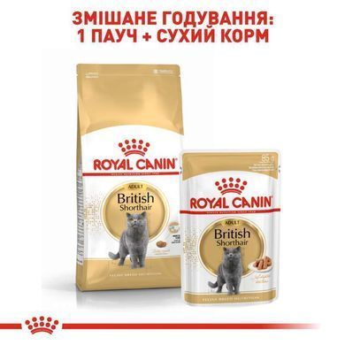 Royal Canin (Роял Канин) British Shorthair Adult - Консервированный корм для взрослых кошек породы Британская короткошерстная (кусочки в подливе) 85 г