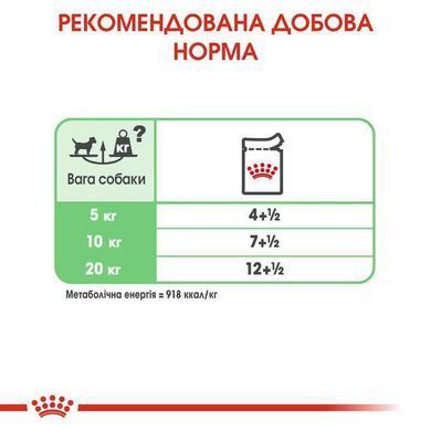 Royal Canin (Роял Канін) Digestive Care Loaf - Консервований корм для собак с чутливою травною системою (паштет) 85 г