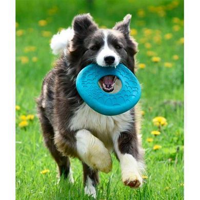 West Paw (Вест Пау) Dash Dog Frisbee - Игрушка фрисби для собак, Бордовый, 21 см