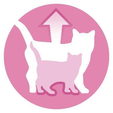 Purina ONE (Пуріна Ван) JUNIOR Cat - Пауч з лососем та морквою для кошенят (шматочки в соусі) 85 г
