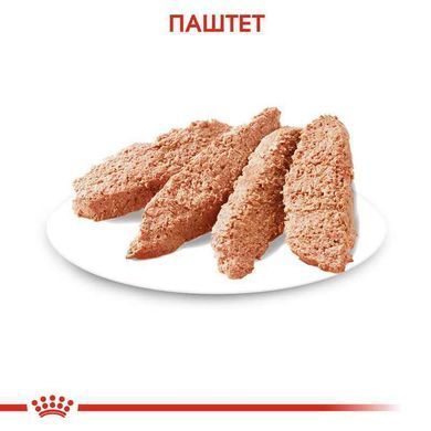 Royal Canin (Роял Канін) Digestive Care Loaf - Консервований корм для собак с чутливою травною системою (паштет) 85 г