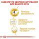 Royal Canin (Роял Канин) British Shorthair Adult - Консервированный корм для взрослых кошек породы Британская короткошерстная (кусочки в подливе) 85 г