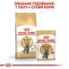 Royal Canin (Роял Канин) British Shorthair Adult - Консервированный корм для взрослых кошек породы Британская короткошерстная (кусочки в подливе) 85 г