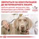 Royal Canin (Роял Канін) Gastrointestinal Puppy - Ветеринарна дієта для цуценят при порушеннях травлення 2,5 кг
