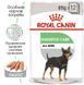Royal Canin (Роял Канін) Digestive Care Loaf - Консервований корм для собак с чутливою травною системою (паштет) 85 г