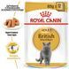 Royal Canin (Роял Канин) British Shorthair Adult - Консервированный корм для взрослых кошек породы Британская короткошерстная (кусочки в подливе) 85 г
