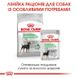 Royal Canin (Роял Канин) Digestive Care Loaf - Консервированный корм для собак с чувствительной пищеварительной системой (паштет) 85 г