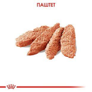 Royal Canin (Роял Канин) Exigent &ndash; Влажный корм с курицей для взрослых собак всех размеров, привередливых к питанию (паштет) 85 г