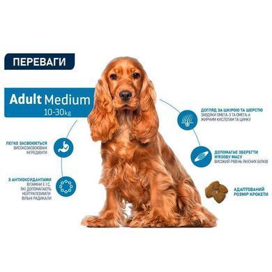 Advance (Эдванс) Dog Adult Medium Chicken - Сухой корм с мясом курицы для взрослых собак средних пород 18 кг