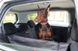 Haustier Elegant Black Автогамак для собак на заднее сидение автомобиля