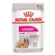 Royal Canin (Роял Канін) Exigent &ndash; Вологий корм з куркою для дорослих собак всіх розмірів, вибагливих до харчування (паштет) 85 г