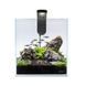 Collar (Коллар) AquaLighter NanoSet - Аквариумный набор для содержания небольших видов рыб и креветок 10 л