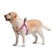 Collar (Коллар) WAUDOG Nylon - Шлея для собак анатомічна з малюнком "Рожевий камо" і QR паспортом 1,0х28-40 см