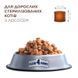 Club 4 Paws (Клуб 4 Лапы) Sterilised with Salmon - Сухой корм с лососем для стерилизованных кошек, 14 кг