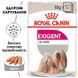 Royal Canin (Роял Канін) Exigent &ndash; Вологий корм з куркою для дорослих собак всіх розмірів, вибагливих до харчування (паштет) 85 г