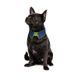 Pet Fashion (Пет Фешн) Say Yes Bright – Воротничок для собак с регулировкой размера (синий) XS-XS-2 (28-39 см)