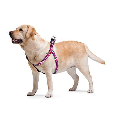 Collar (Коллар) WAUDOG Nylon - Шлея для собак анатомическая с рисунком "Розовый камо" и QR паспортом 1,5х40-55 см