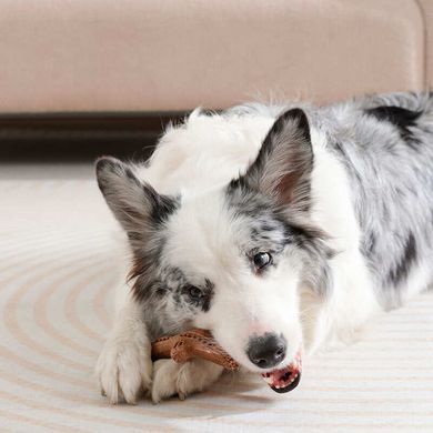 M-Pets (М-Петс) Chewood Small Branch - Іграшка Маленька гілка для собак, Коричневий, S