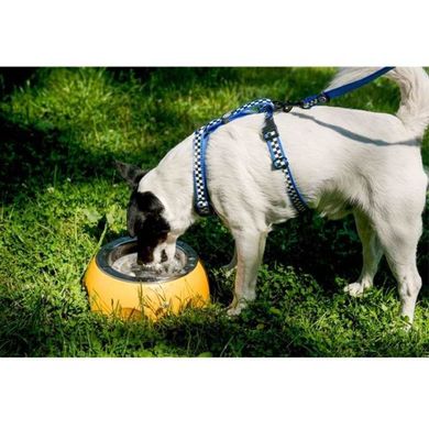 Kiwi Walker (Ківі Вокер) Cheese Bowl - Миска для собак зі знімною чашею з нержавіючої сталі 750 мл Помаранчевий