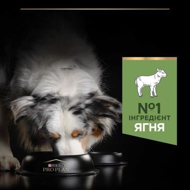 Purina Pro Plan (Пурина Про План) Medium Sensitive Digestion Adult &ndash; Сухой корм с ягнёнком для взрослых собак средних пород, 3 кг