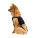 Pet Fashion (Пет Фешн) Say Yes Chic - Сукня для собак зі спідницею із складками (пісочно-чорна) XS (23-25 см)