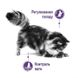 Royal Canin (Роял Канін) Appetite Control - Сухий корм з птицею для котів схильних до набору зайвої ваги, в тому числі після стерилізації 400 г