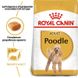 Royal Canin (Роял Канин) Poodle Adult - Сухой корм с мясом птицы для взрослых собак породы Пудель 1,5 кг