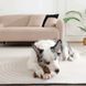 M-Pets (М-Петс) Chewood Small Branch - Іграшка Маленька гілка для собак, Коричневий, S