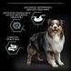 Purina Pro Plan (Пурина Про План) Medium Sensitive Digestion Adult &ndash; Сухой корм с ягнёнком для взрослых собак средних пород, 3 кг