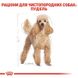 Royal Canin (Роял Канин) Poodle Adult - Сухой корм с мясом птицы для взрослых собак породы Пудель 1,5 кг