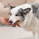 M-Pets (М-Петс) Chewood Small Branch - Іграшка Маленька гілка для собак, Коричневий, S