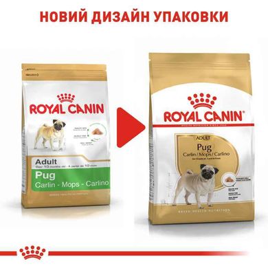 Royal Canin (Роял Канін) Pug Adult - Сухий корм для дорослих Мопсів 500 г
