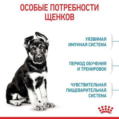 Royal Canin (Роял Канин) Maxi Puppy - Сухой корм для щенков от 2 до 15 месяцев 1 кг
