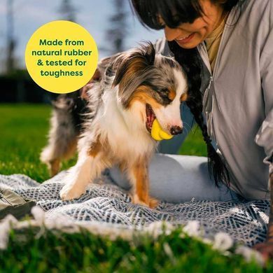 Earth Rated (Эс Рейтид) Fetch Toy - Игрушка резиновая для собак маленьких, средних и больших пород, S