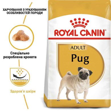 Royal Canin (Роял Канін) Pug Adult - Сухий корм для дорослих Мопсів 500 г
