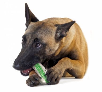 Petstages (Петстейджес) CrunchCore - Іграшка для собак Хрумка кісточка 8,5 см