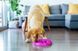 Outward Hound (Аутвард Хаунд) Fun Feeder Slo-Bowl Flower - Миска-лабіринт Квітка для повільного годування собак М Фіолетовий