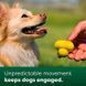 Earth Rated (Эс Рейтид) Fetch Toy - Игрушка резиновая для собак маленьких, средних и больших пород, S