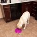 Outward Hound (Аутвард Хаунд) Fun Feeder Slo-Bowl Flower - Миска-лабиринт Цветок для медленного кормления собак М Фиолетовый
