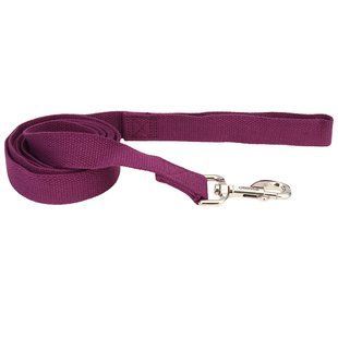 Coastal (Костал) New Earth Soy Dog Leash - Экоповодок соевый для собак 1,6х183 см Фиолетовый