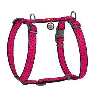 Collar (Коллар) WAUDOG Nylon - Анатомічна H-подібна шлея для собак з малюнком "Кавун" і QR паспортом L/50-90х60-100 см