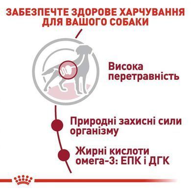 Royal Canin (Роял Канін) Medium Adult - Вологий корм для дорослих собак середніх порід (шматочки в соусі) 140 г