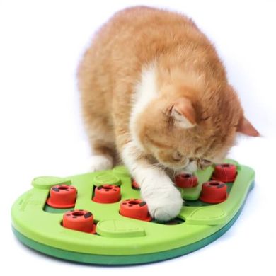 Nina Ottosson (Ніна Оттоссон) Buggin Out Puzzle & Play - Інтерактивна гра-головоломка «Пазл» для котів