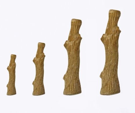 Petstages (Петстейджес) Dogwood Stick – Игрушка для собак Крепкая ветка 10,5 см