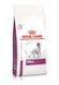 Royal Canin (Роял Канин) Renal Dog - Сухой корм для собак при хронической почечной недостаточности, 2 кг
