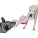 Jolly Pets (Джолли Пэтс) Tug-A-Mal Pig Dog Toy - Игрушка-пищалка Свинка для перетягивания, 14х42х15 см