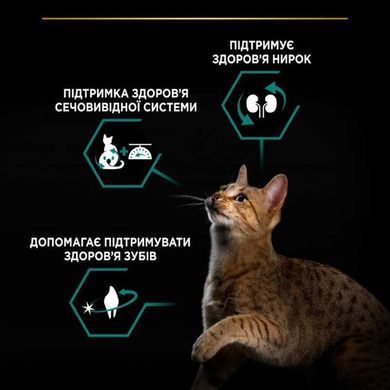 Purina Pro Plan (Пурина Про План) Sterilised Adult Renal Plus - Сухой корм с индейкой для стерилизованных котов, 14 кг